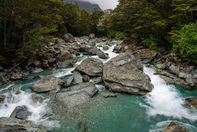 Stream in routeburn river flowing through rocks in forest