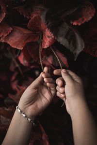 Close-up of hand holding leaf