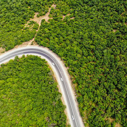 High angle view of road amidst trees in forest