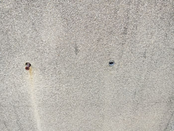 High angle view of insect on beach