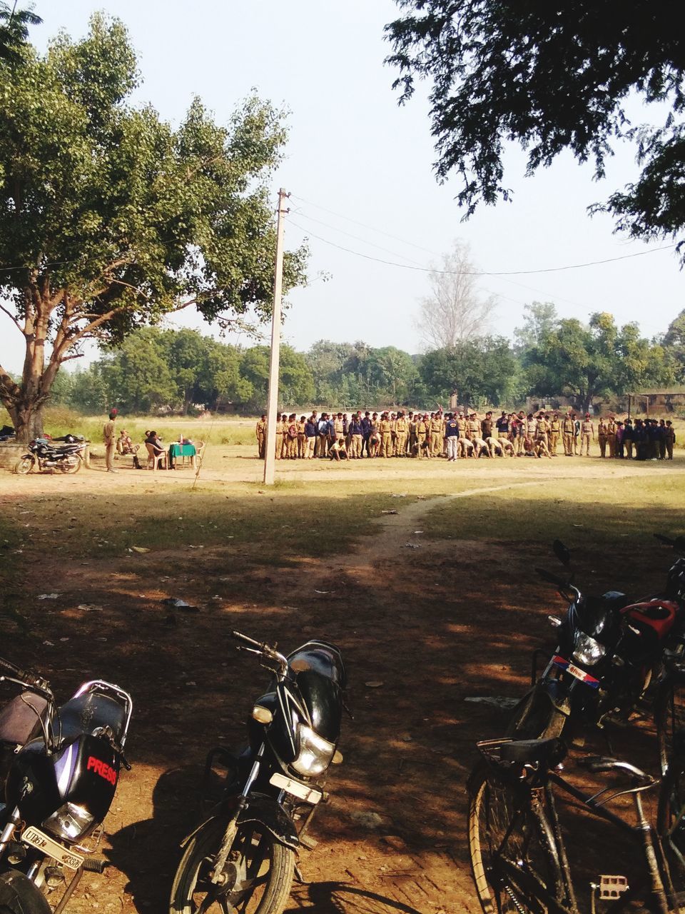 PEOPLE ON FIELD AGAINST TREES