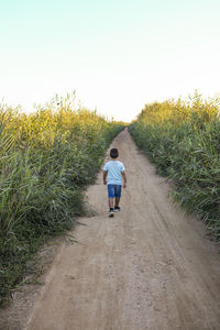 Rear view of man walking on footpath amidst field against clear sky