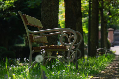 Empty bench in park