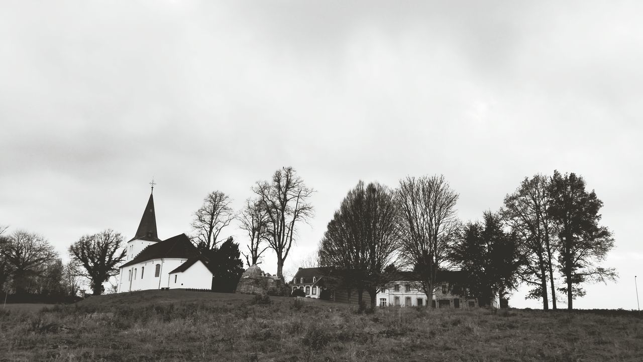 tree, sky, built structure, architecture, field, building exterior, rural scene, landscape, tranquility, cloud - sky, grass, house, growth, tranquil scene, nature, scenics, beauty in nature, cloud, day, outdoors