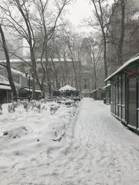 Snow covered street amidst houses and trees during winter