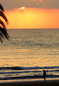 View of calm beach at sunset