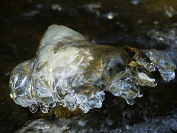 Close-up of ice crystals on rock