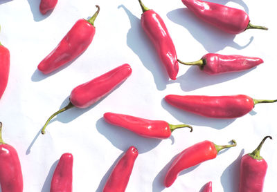 Close-up of red chili peppers against white background