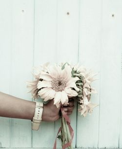 Cropped hand of person holding flowers against wooden wall