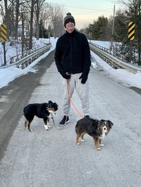 Man with dogs on snow