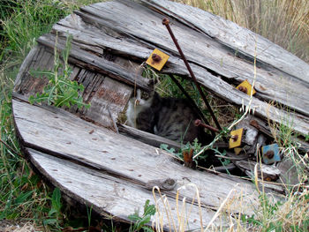 High angle view of old wooden bench on field