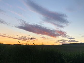 Scenic view of field against sky during sunset