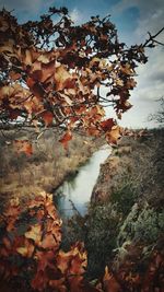 Scenic view of landscape