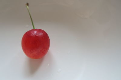 High angle view of cherries on water