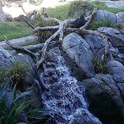 nature