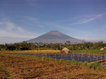 Rice fields ready for planting with beautiful mountain views