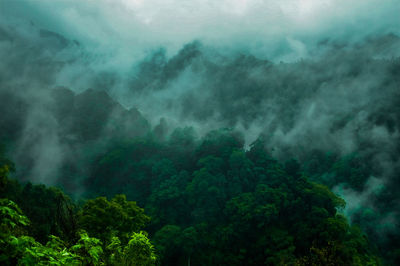 Fog in the cool mountains in the morning 