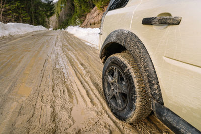 Tire and tracks on dirt muddy road