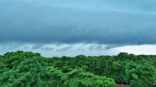 Scenic view of forest against sky