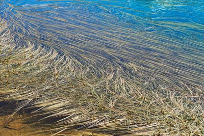 Full frame shot of sea shore