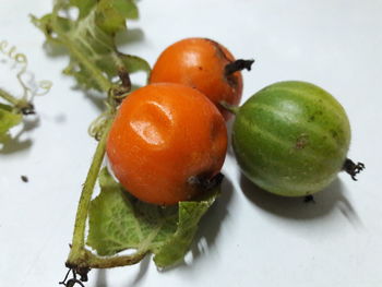 Close-up of fruits on plate