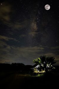 Silhouette trees against sky at night