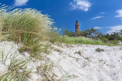 Plants growing on beach against sky