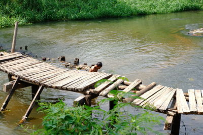 High angle view of birds on lake