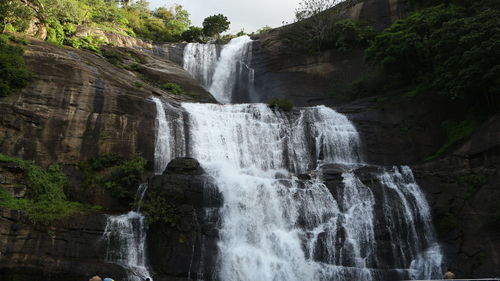 Scenic view of waterfall in forest