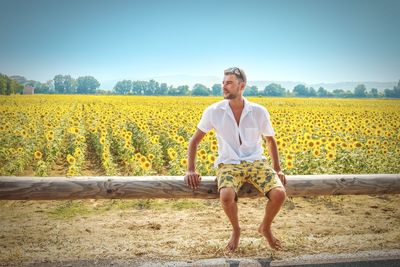 Full length of man sitting on wooden railing against sunflower field