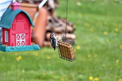 Close-up of a bird feeder