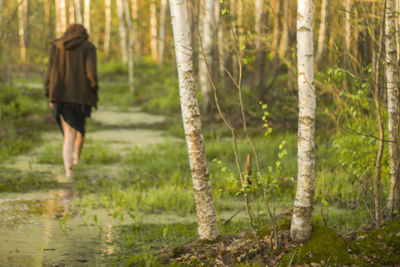 Rear view of woman walking in swamp against trees at forest