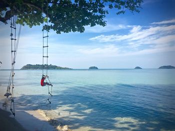 Person climbing on rope ladder hanging on tree at beach