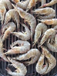 Close-up of fish in market