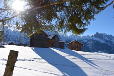 Trees and houses on snowcapped mountain against sky