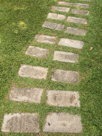 High angle view of stone wall in park