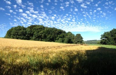 Scenic view of field against cloudy sky