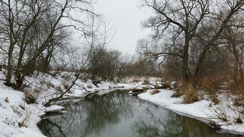 Scenic view of stream amidst trees during winter