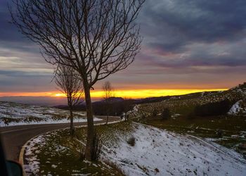 Bare trees on snow covered landscape against sky during sunset