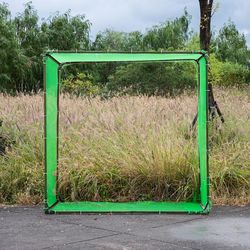 Green plants growing on empty road