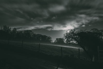 Trees on field against sky