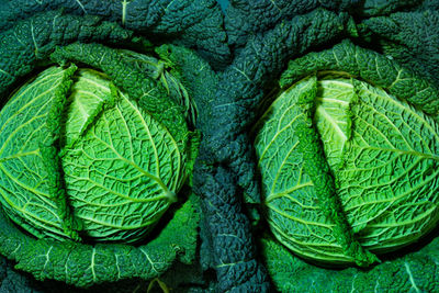 Full frame shot of green leaves