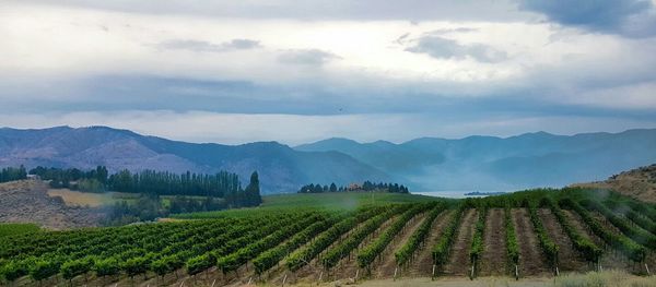 Scenic view of field against cloudy sky