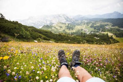 Low section of man relaxing amidst flowers on field