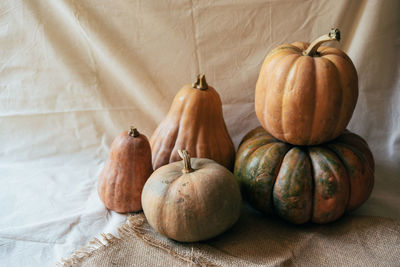 A simple still life with autumn pumpkins on bright draperies. place for text.