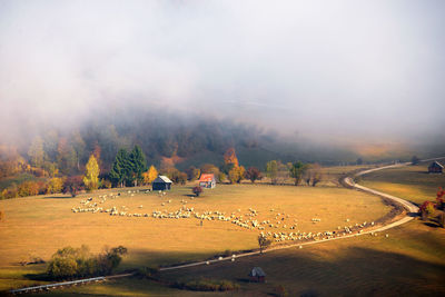 Scenic view of landscape against sky