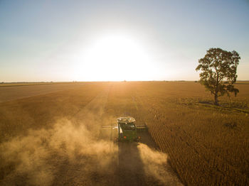 Scenic view of agricultural field against clear sky during sunset