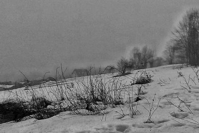 Bare trees on snow covered field against sky