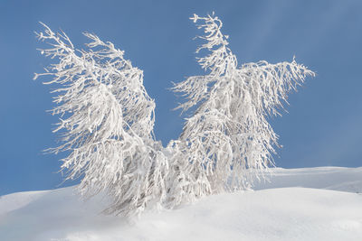 Snow covered mountain against sky