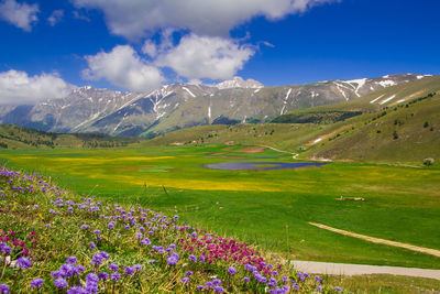 Scenic view of grassy field against cloudy sky